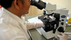 Гормональное бесплодие: лечение